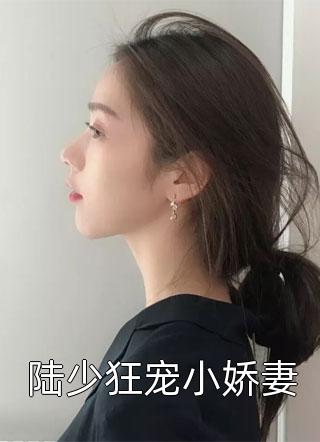 陆少狂宠小娇妻小说